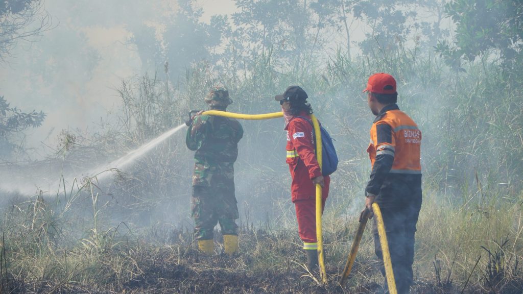Dokumentasi lapangan 5